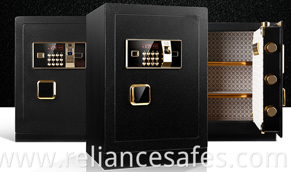 Fingerprint safe